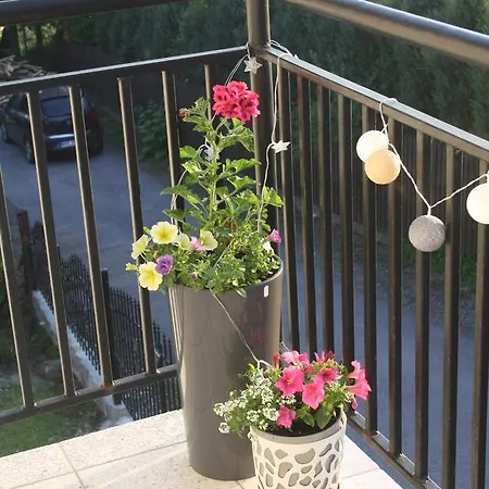 Apartman Alicja Rabka